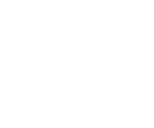 Cautiva a tu audiencia