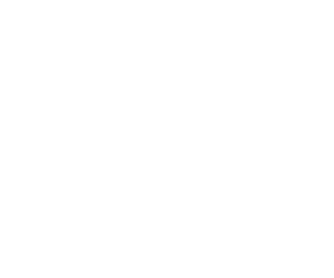 Interacción gestual